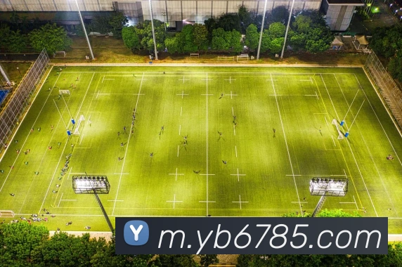 App Interface Preview