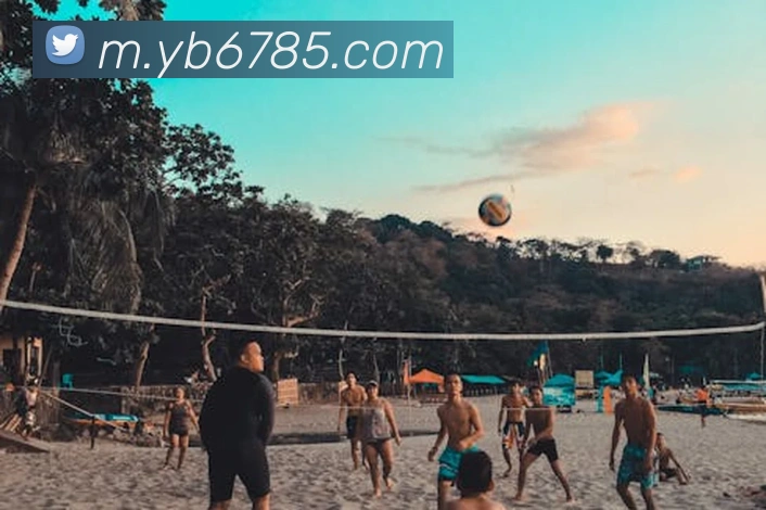 yabo体育平台官网入口APP 封面图